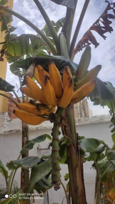 4 - Acogedora Habitacion Junto A Ruzafa Con Bano Privado Y Aire Acondicionado Valensiya Dış mekan fotoğraf